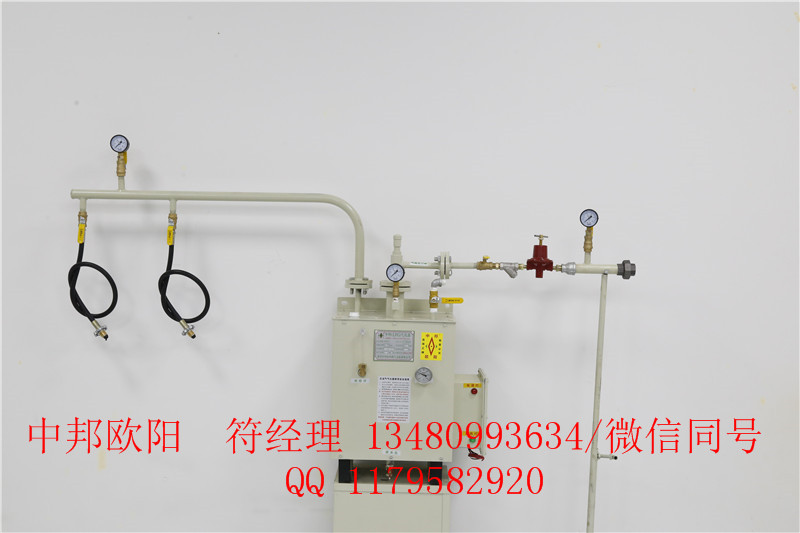 供应30kg气化器中邦气化炉厂家直销