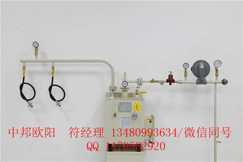 供应30kg气化器中邦气化炉厂家直销